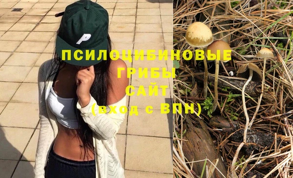 круглые Абаза