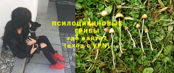 гидропоника Абинск