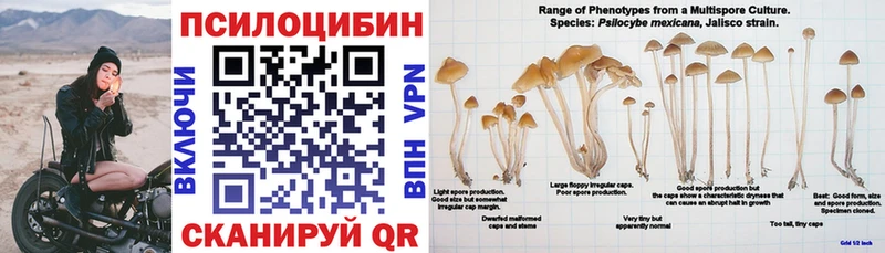 Псилоцибиновые грибы Magic Shrooms  наркотики  Новокузнецк 